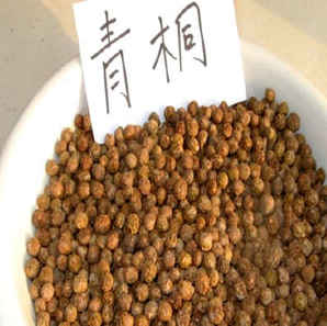 青桐种子育苗，青桐籽可以育苗
