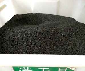满天星种子几天发芽，满天星种子如何种植