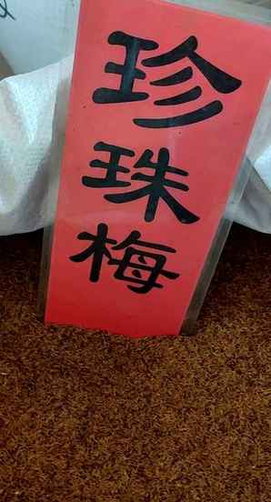 珍珠梅种子基地图片，珍珠梅种子图片