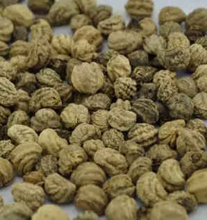 旱金莲种子几月播种，旱金莲花啥时候播种