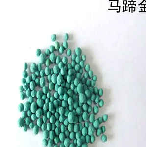 马蹄金种子的种植方法，盆栽马蹄金种子种植方法