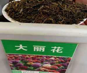 花卉种子播种器，花卉种子播种器怎么使用视频