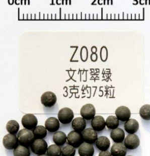 文竹催芽最佳时间，文竹种子催芽技术