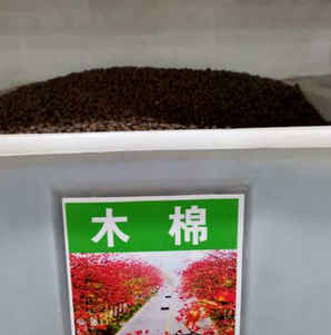 花卉种子公司在那里，郴州市花卉种子公司