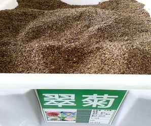盆栽花朵种子购买，花朵番茄种子