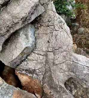 庭院小型水池天然龟纹石假山，龟纹石和吸水石哪个做假山好