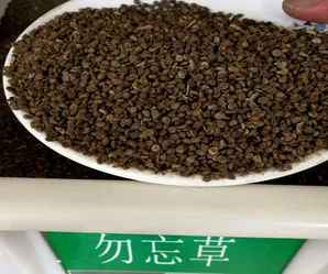 勿忘我种子种植需要什么样的土，勿忘我种子种植需要什么样的土