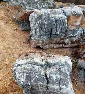 龟纹石和太湖石哪个做假山好，龟纹石和太湖石区别