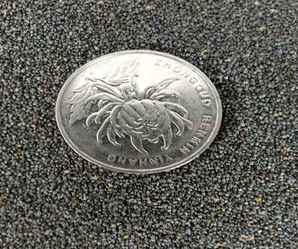 太阳花种子10色重瓣，太阳花种子哪里有卖的