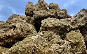 吸水石是火山石吗，吸水石是火山石吗