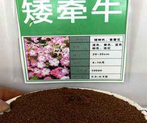 边坡绿化花卉种子，花卉种子价格批发