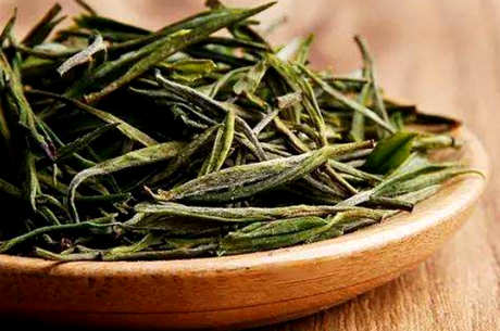 什么季节喝安吉白茶最好，什么季节喝安吉白茶好？