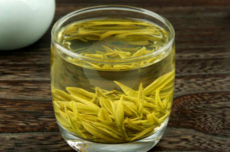 什么季节喝安吉白茶最好，什么季节喝安吉白茶好？