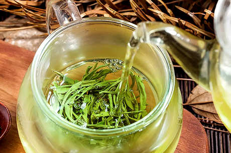 碧螺春泡茶法