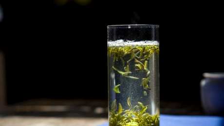 崂山绿茶怎么泡？