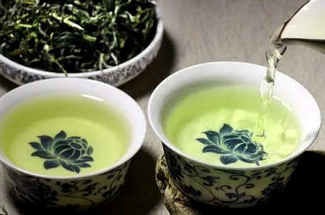 崂山绿茶怎么泡？
