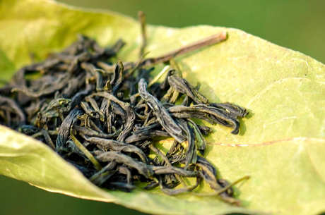 600斤茶能送人吗，能送人(属于高档茶)
