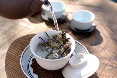 怎样泡普洱茶饼？