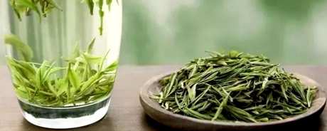 绿茶泡几次