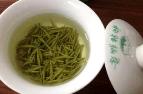 冲泡绿茶的步骤
