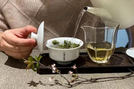 冲泡绿茶的步骤