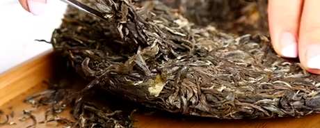 普洱茶饼怎么泡茶？