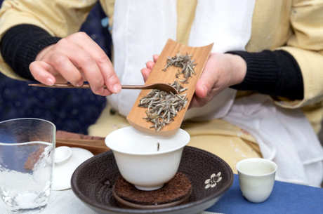 怎样泡白毫银针茶？