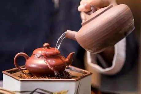 功夫茶冲泡步骤