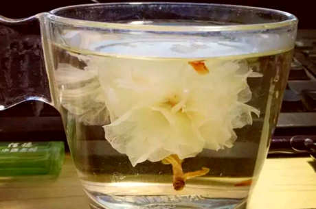 芙蓉花茶一起泡什么？