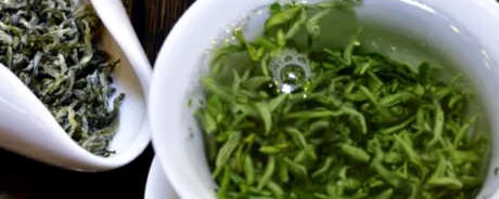 如何泡蒙顶山甘露茶？