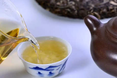 阳羡雪芽冲泡法
