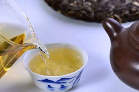 阳羡雪芽怎么泡？