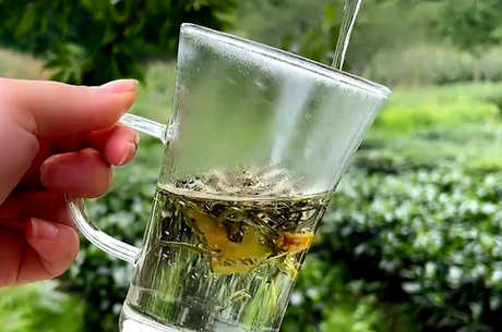 六种茶的基本特征和加工工艺的差异