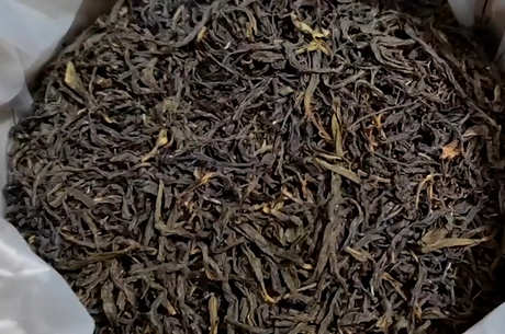 单丛茶种类