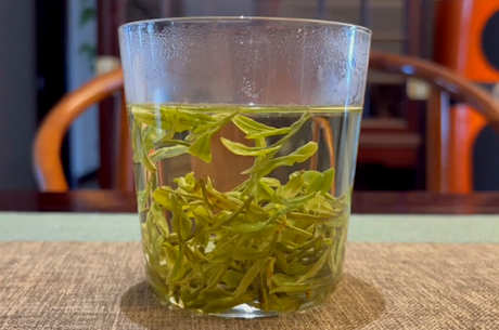 龙井陈茶和新茶的区别