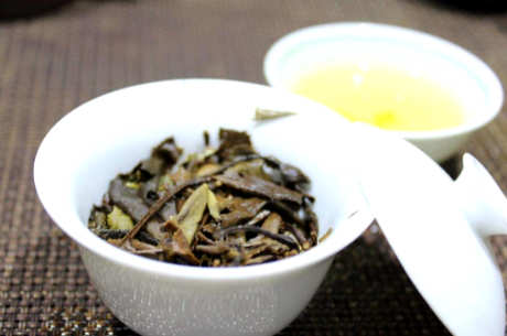 怎样泡政和白茶？