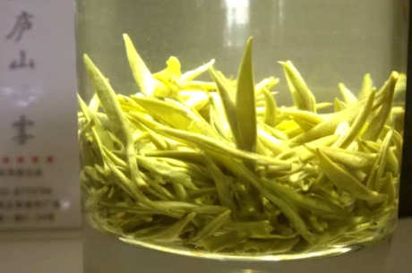 如何泡庐山云雾茶？