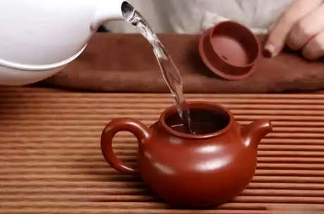 用什么壶泡乌龙茶？
