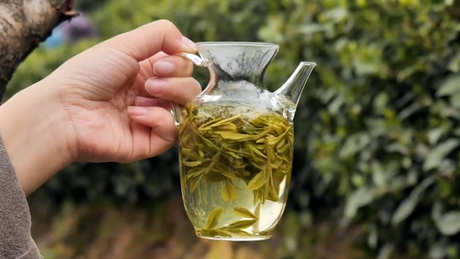 西湖龙井茶在哪里？