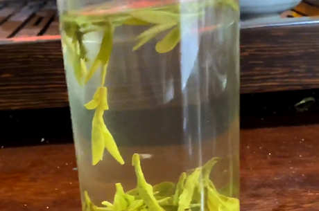西湖龙井茶在哪里？
