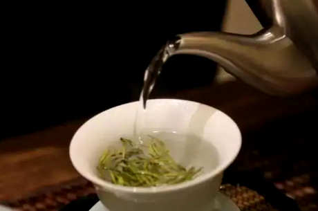 如何冲泡安吉白茶？