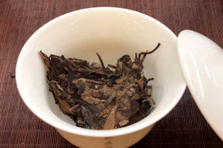 如何泡福鼎白茶饼？