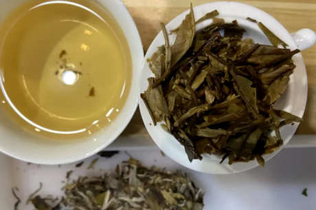 怎样泡老白茶？