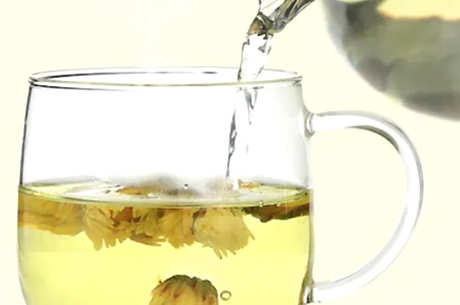一次泡几朵菊花茶