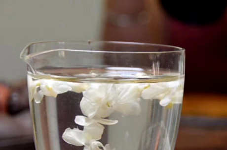 茉莉花茶能冷泡吗？