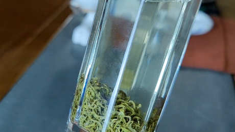 中国六大茶类分别是