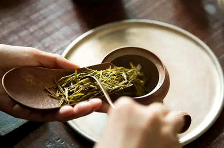 冲泡金芽的方法