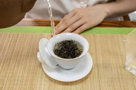 新鲜茶能泡在水里喝吗？