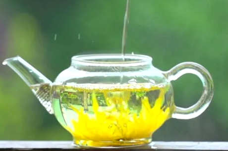 用多少度的水泡菊花茶？