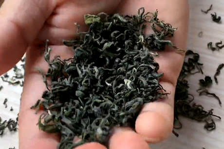 中国名茶的产地有哪些？